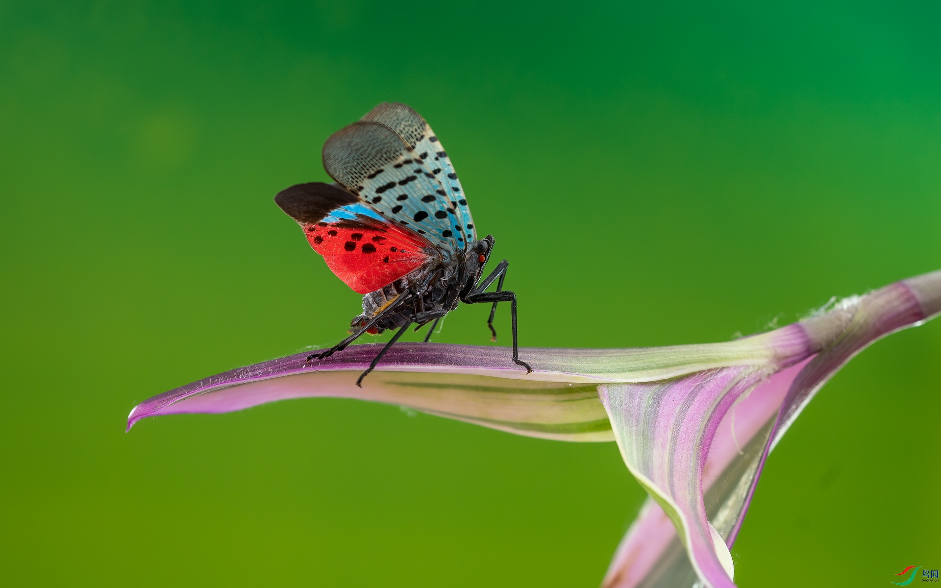 DSC08304-1.jpg