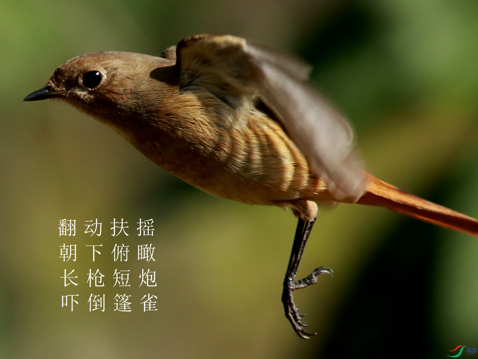 7I6A5460.JPG