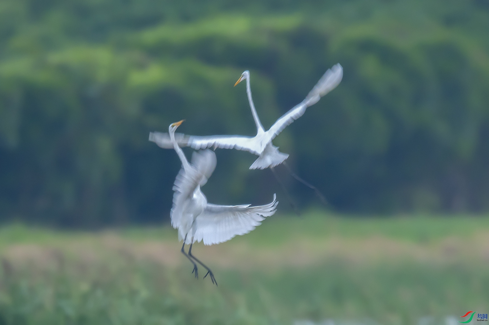 ��DSC_5840.jpg
