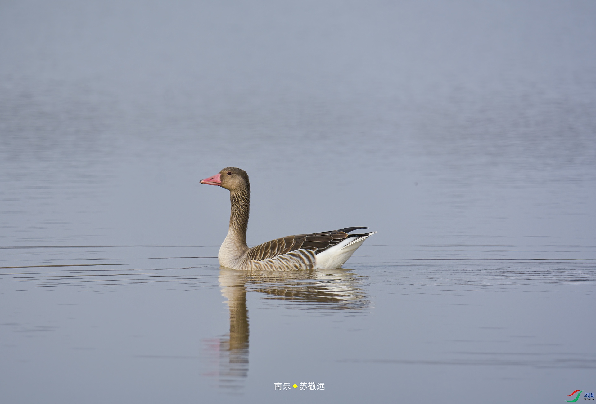 _DSC7842С.jpg