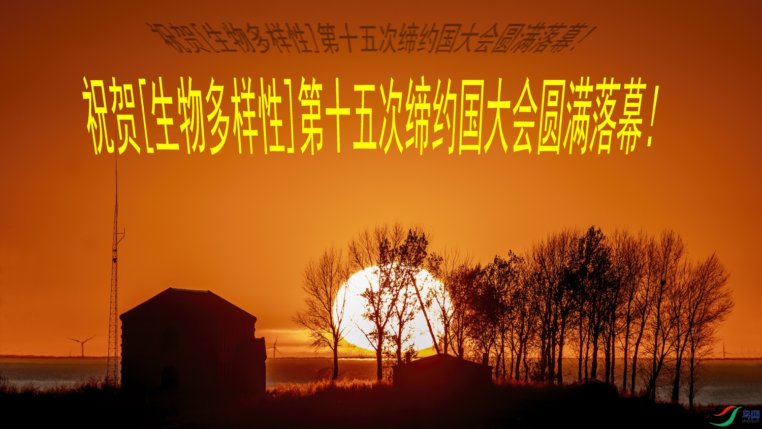 _A4I0006.JPG