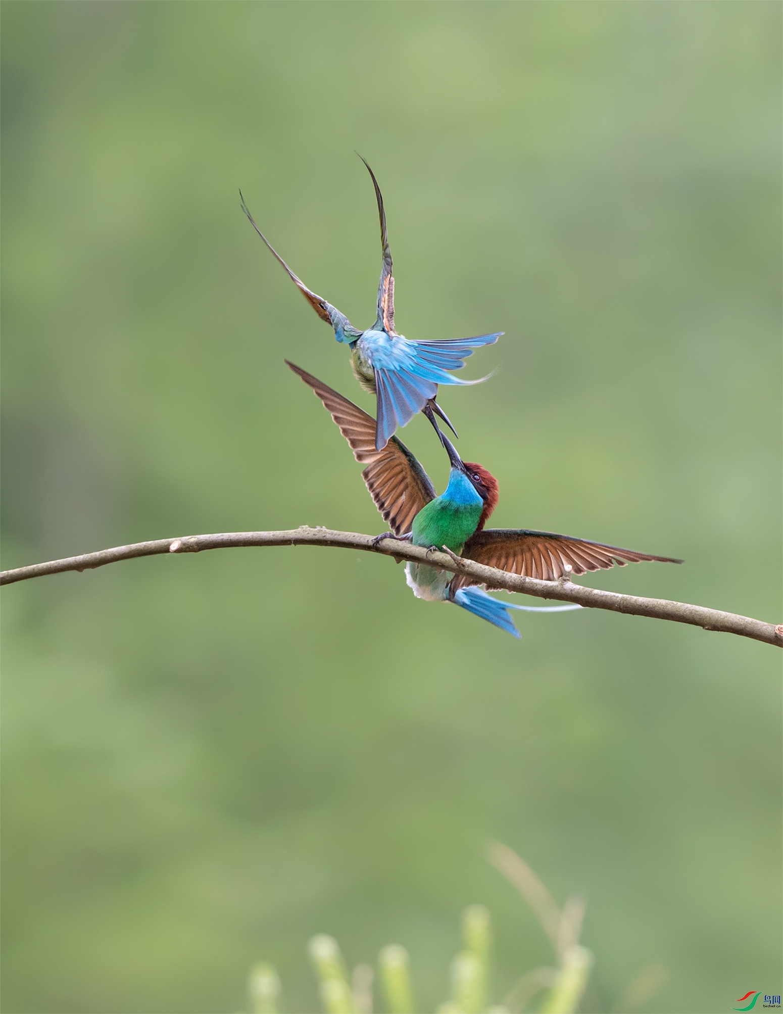 DSC_9366.jpg