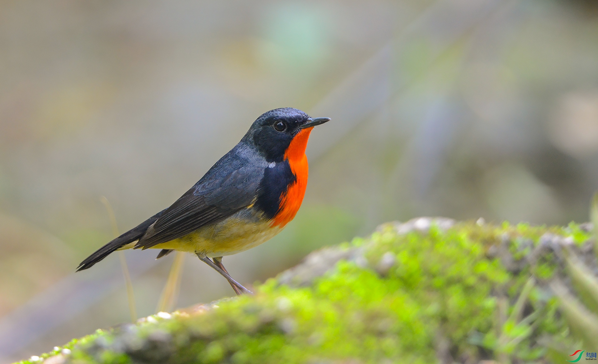 DSC_3355.jpg