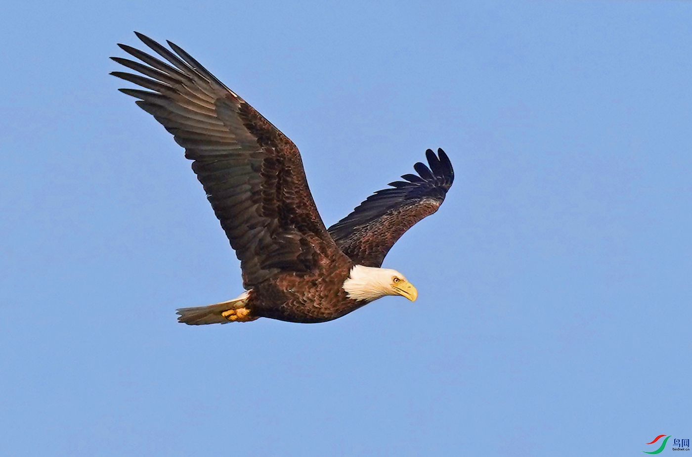 DSC00771----.jpg