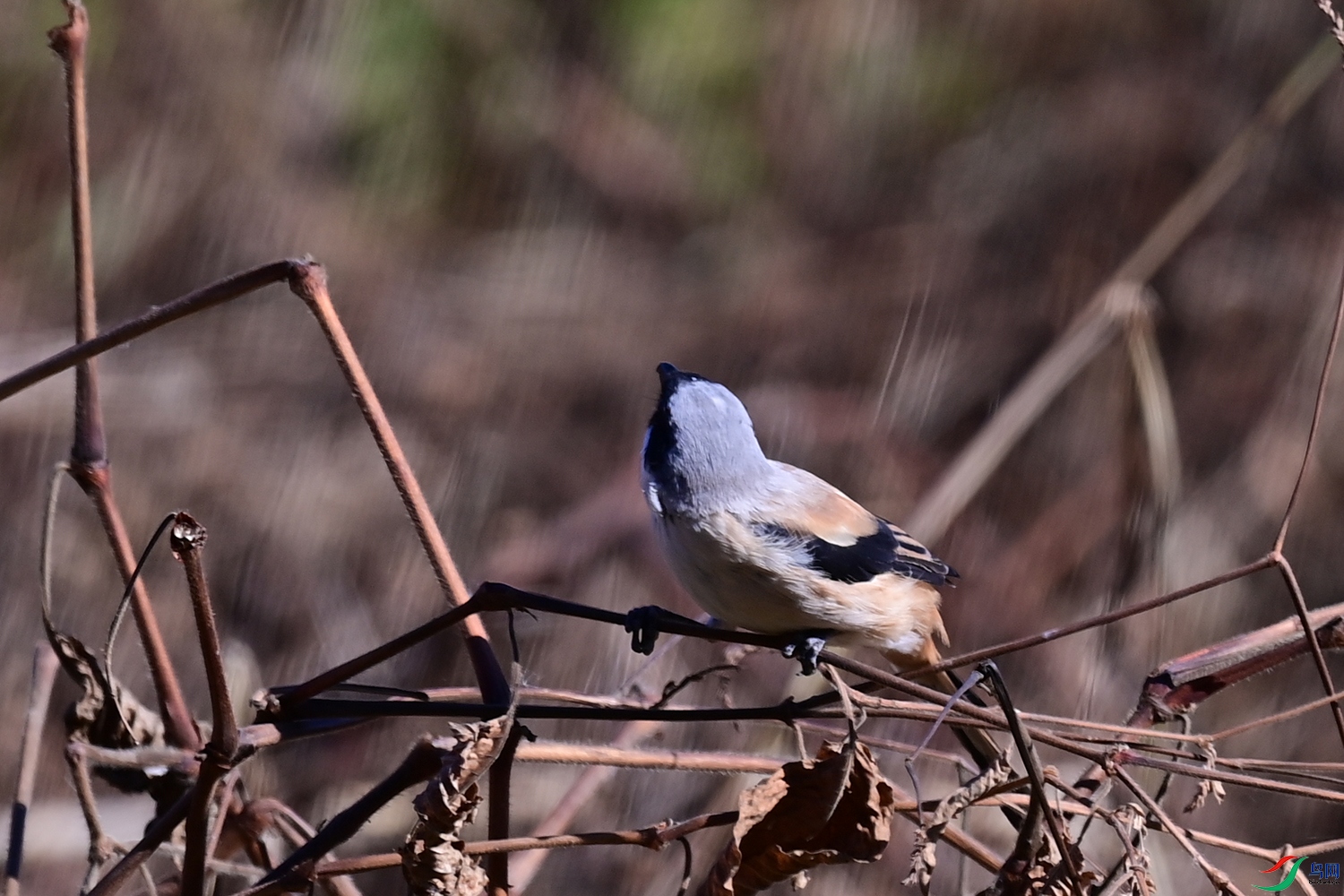 DSC_6760.jpg