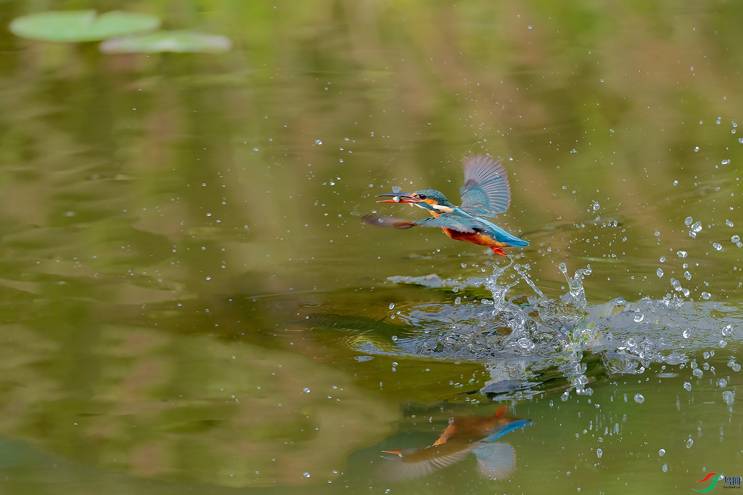DSC_7711-2.jpg