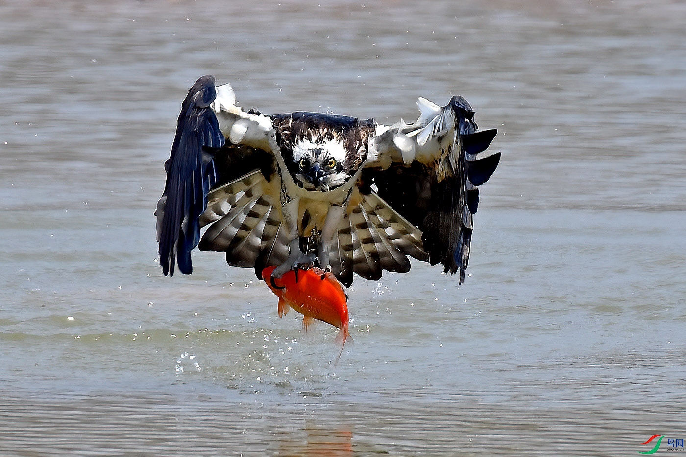 DSC_1210aaa.jpg