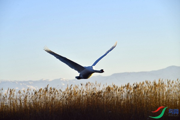 File0000079348.jpg