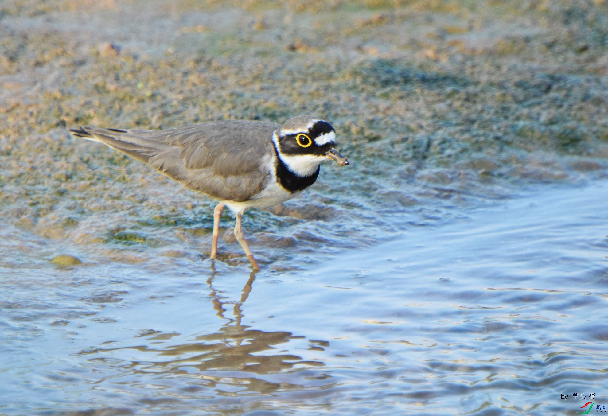 D72_4142.jpg