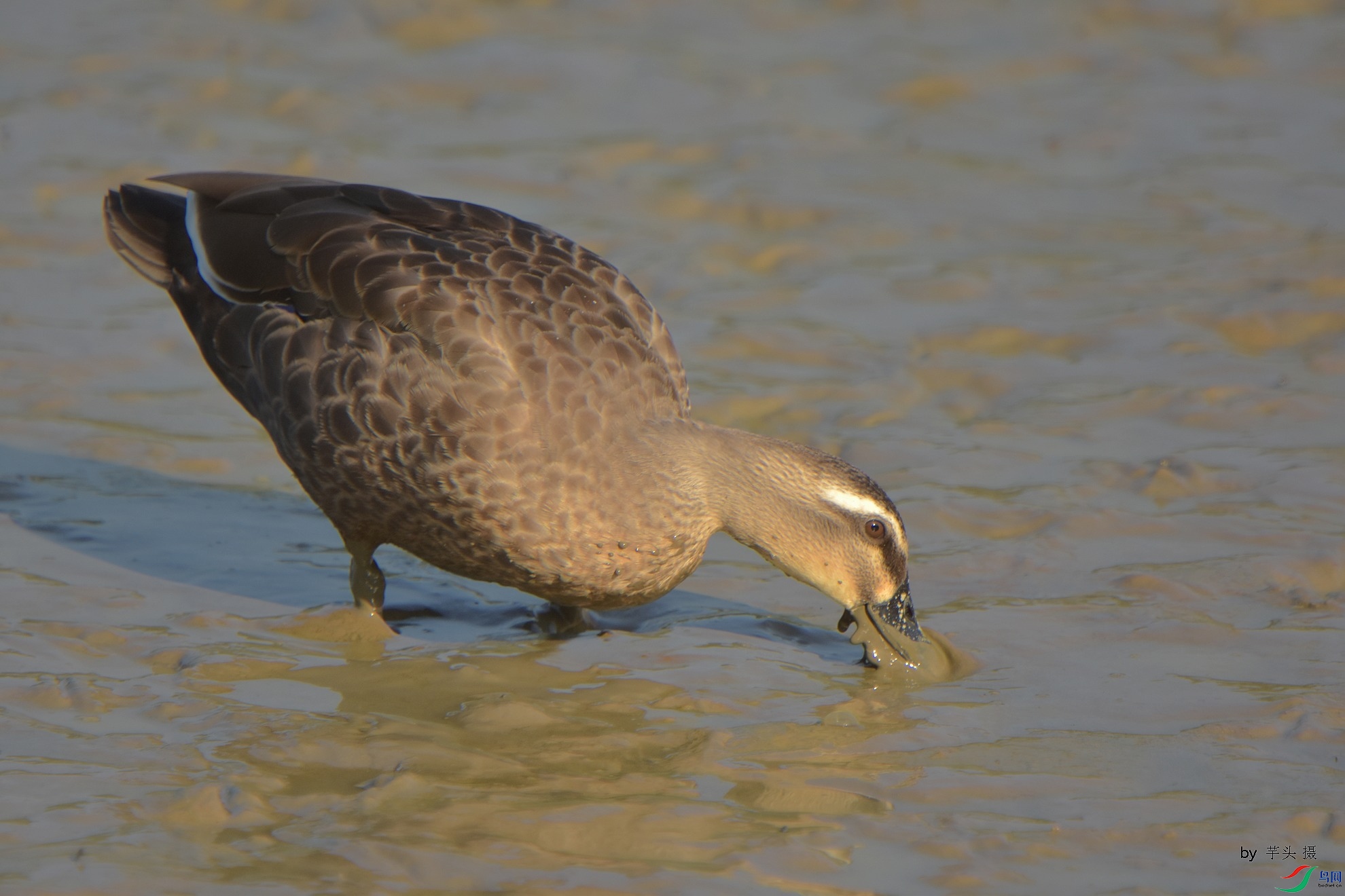 D72_5002.jpg