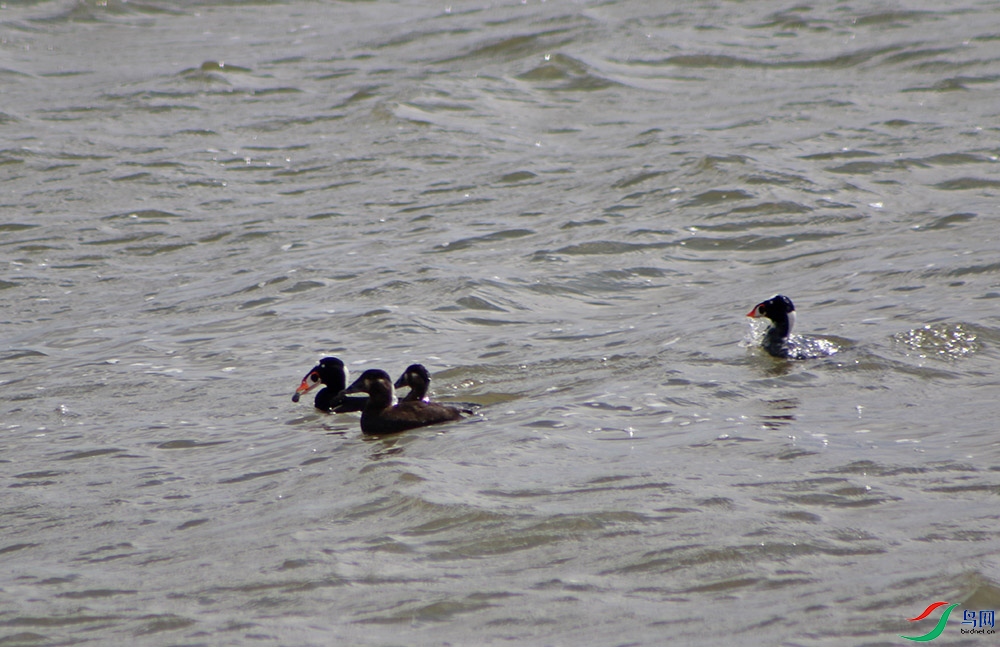 4V5A5952.1.jpg