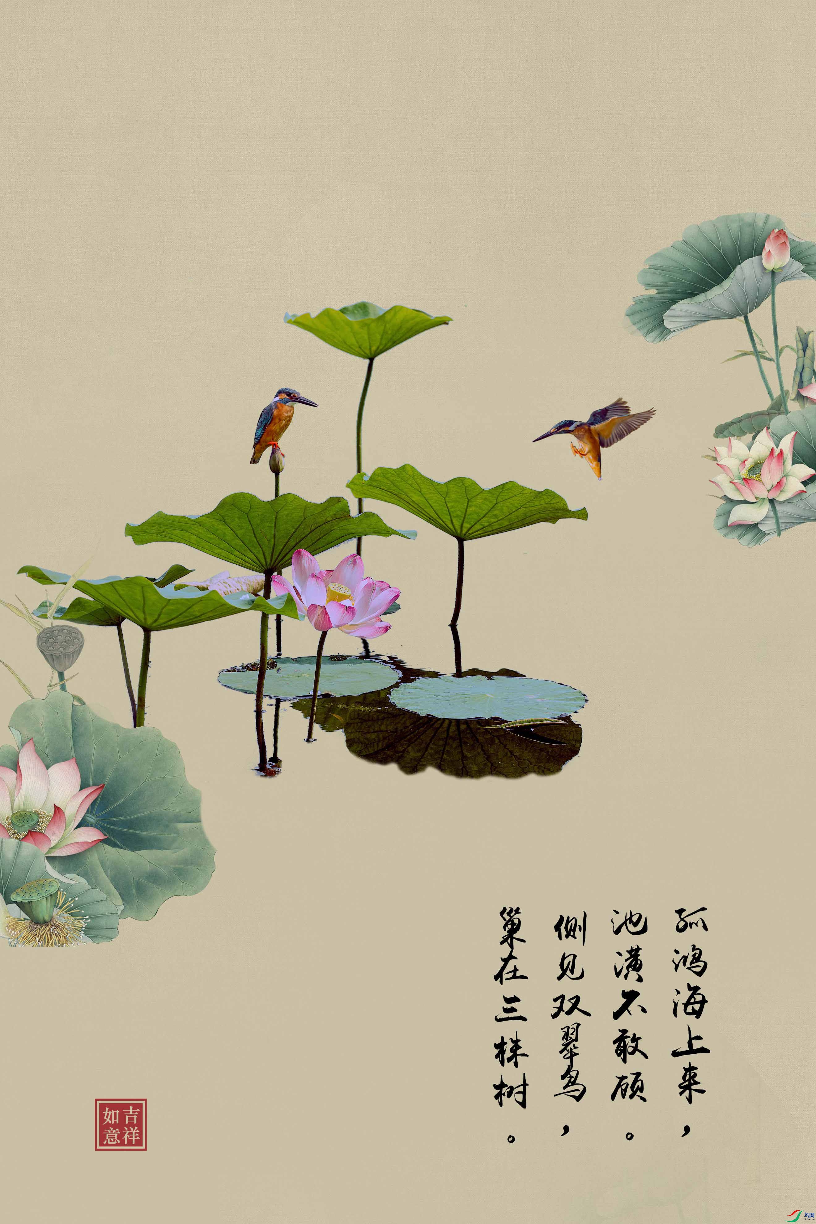 ���繤�ʻ��ز�  (28).jpg0_����.jpg