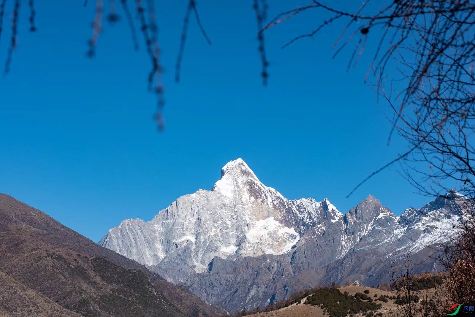 �������Ĺ���ɽ