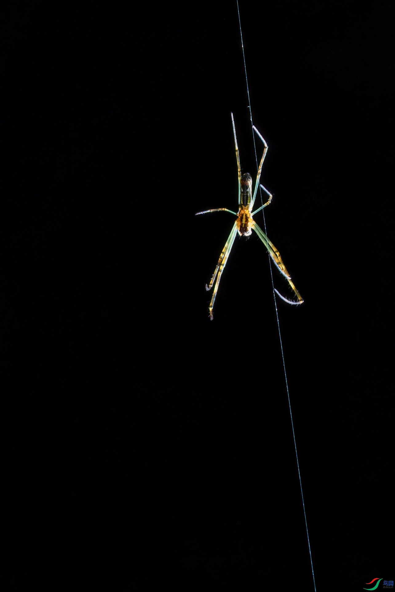 DSC_7537-1.jpg