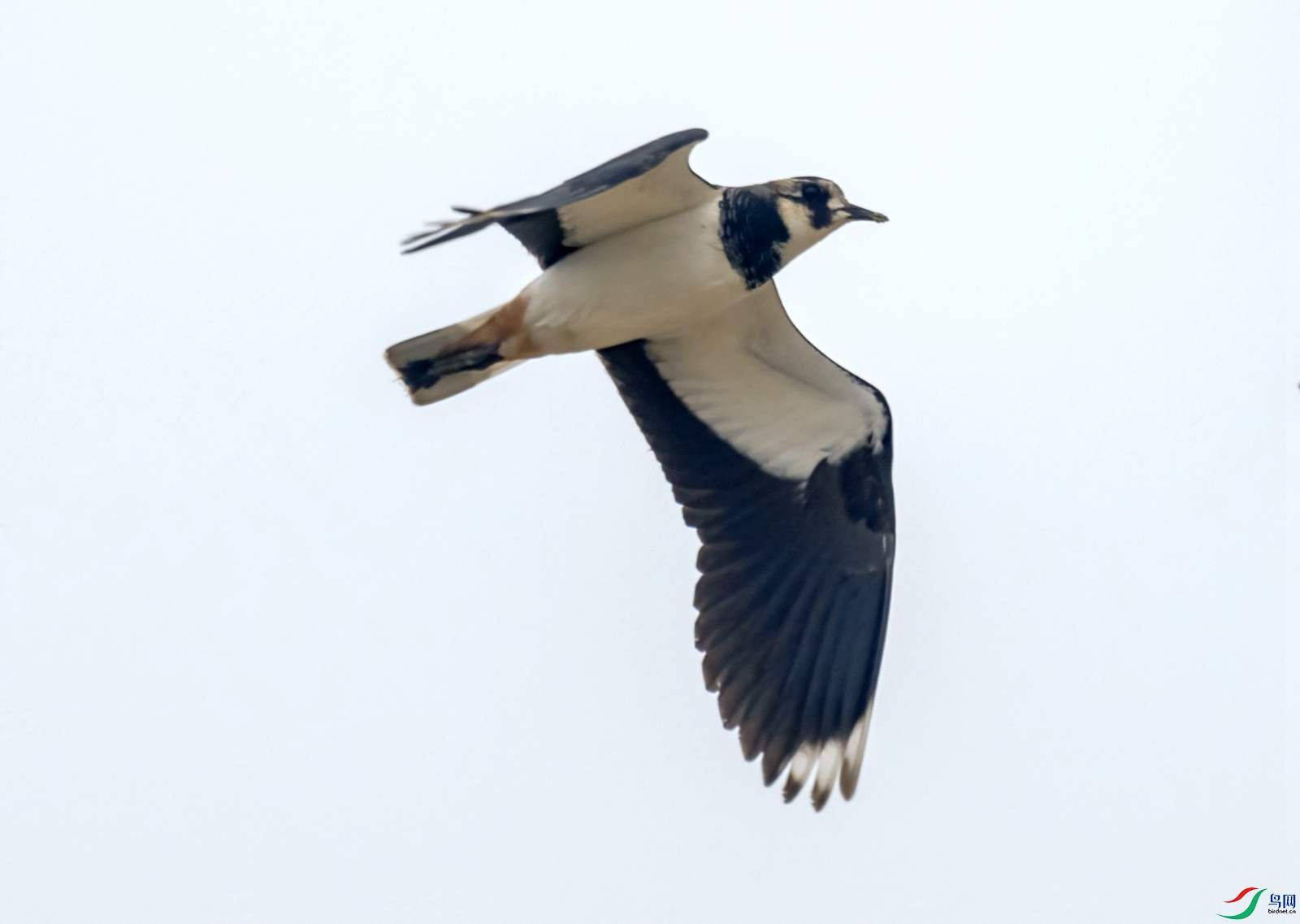 20211028-1S1A8076-standard.jpg