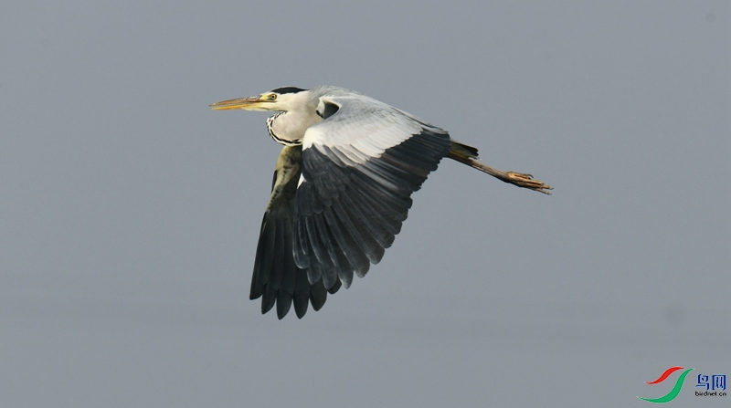 DSC_1063.jpg