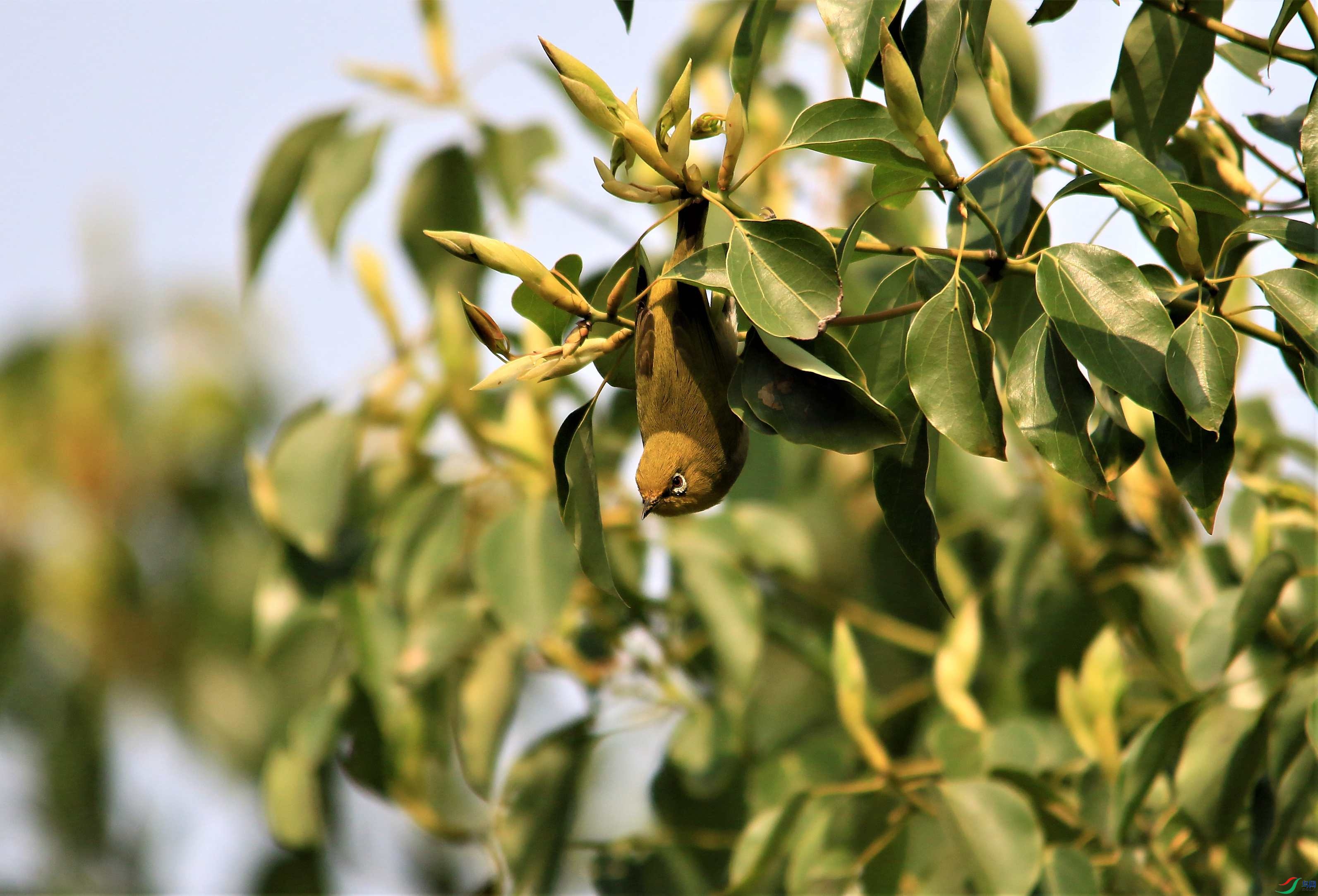 �Ҹ������� (24).JPG