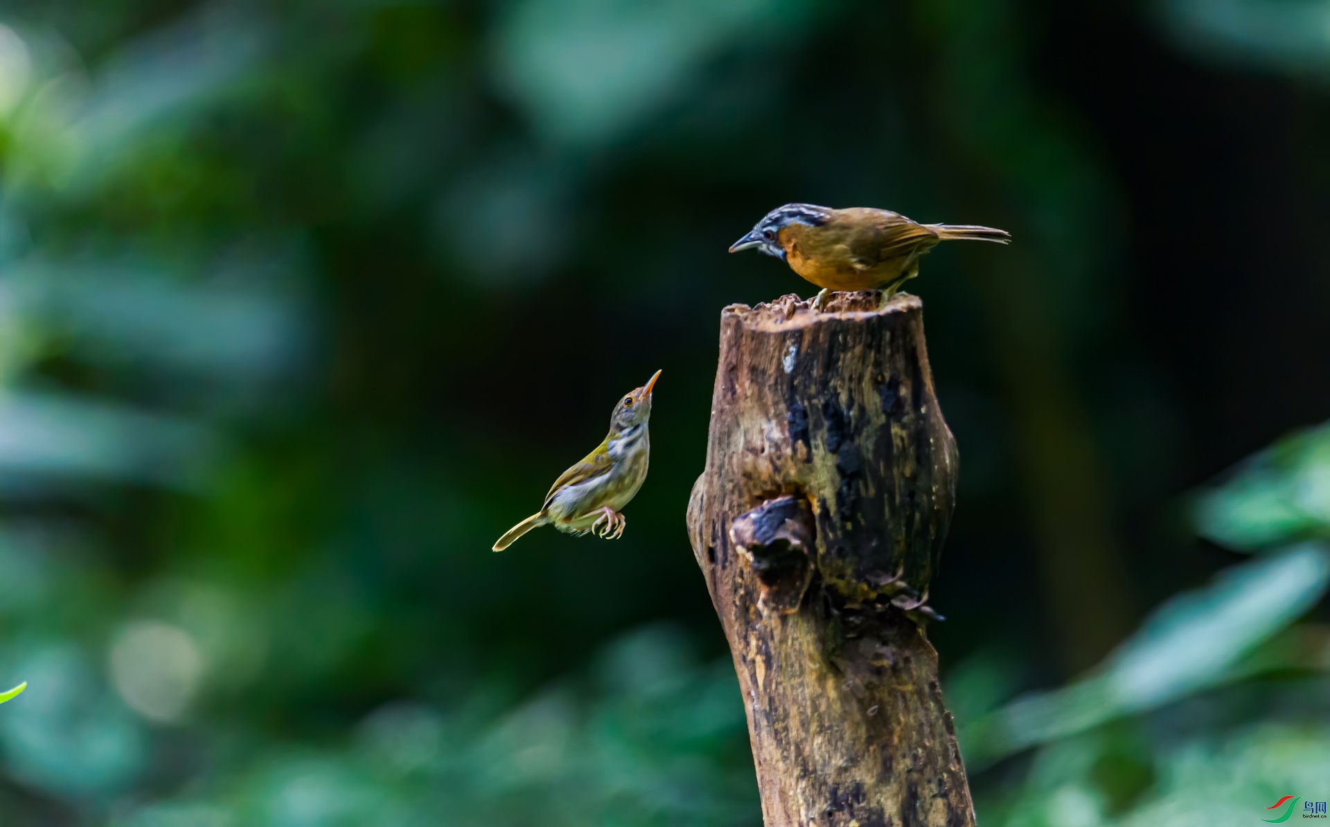 DSC_2896.jpg