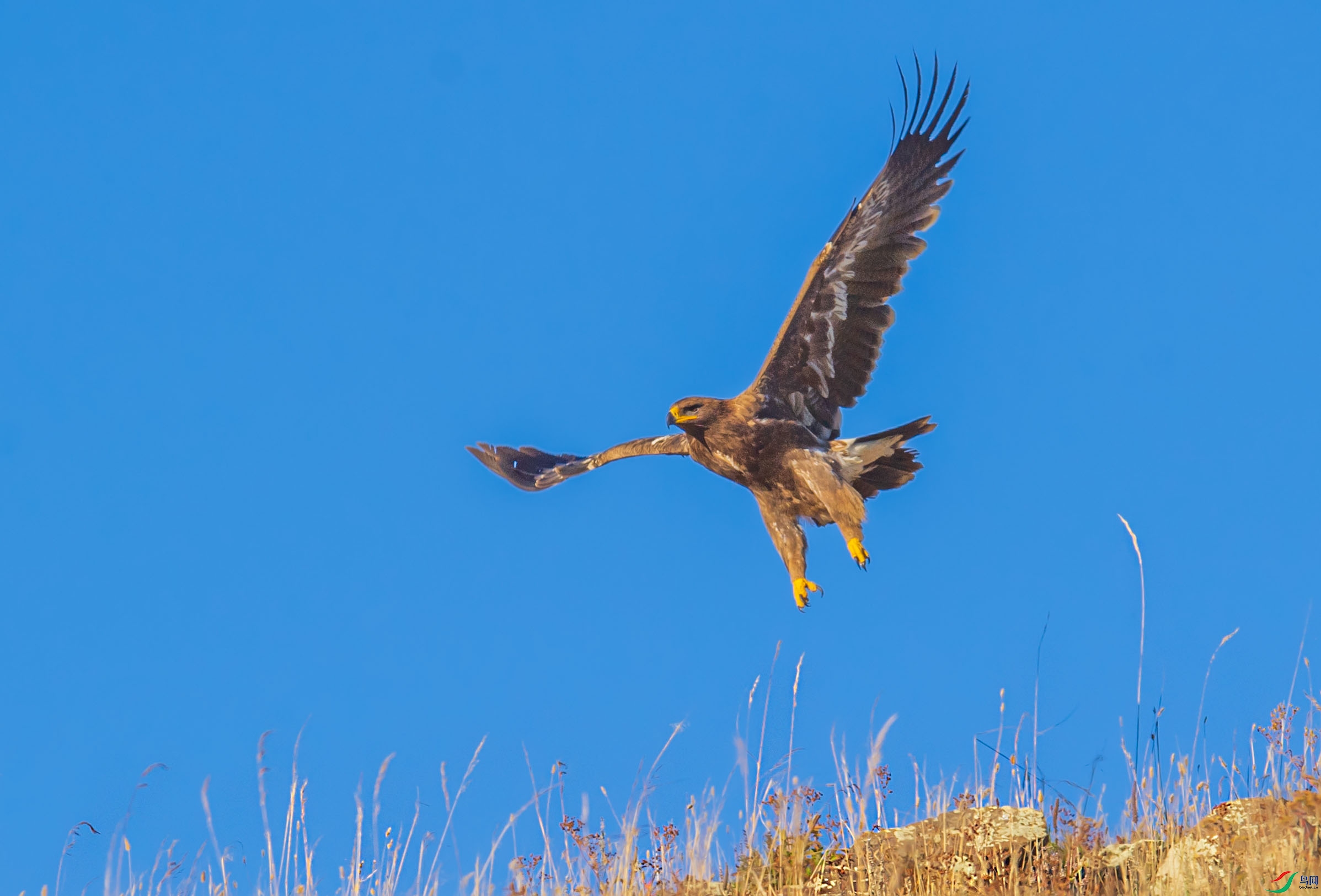 WGB_2690-1.jpg