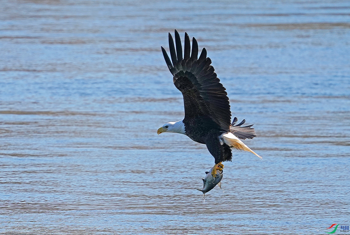 DSC05762----.jpg