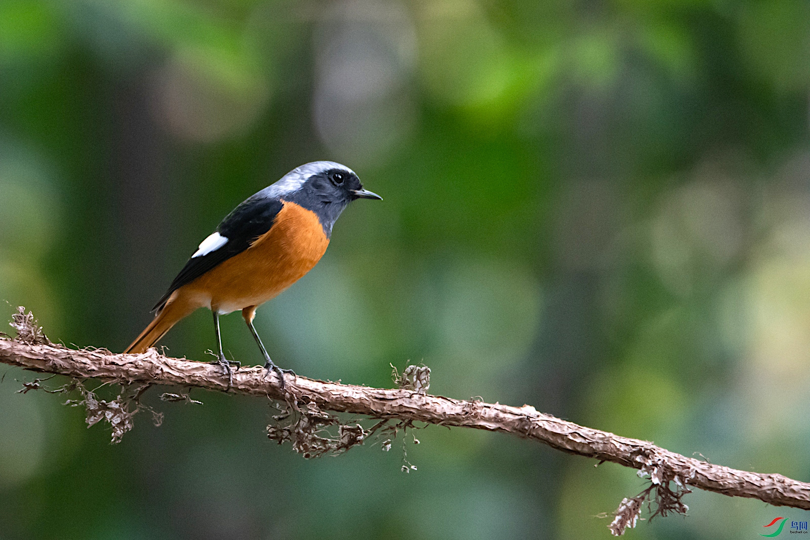 DSC_7334-2.jpg