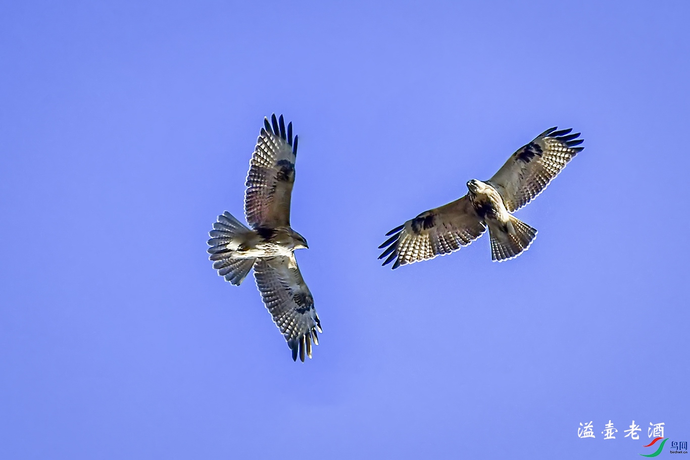 DSC_8576.jpg