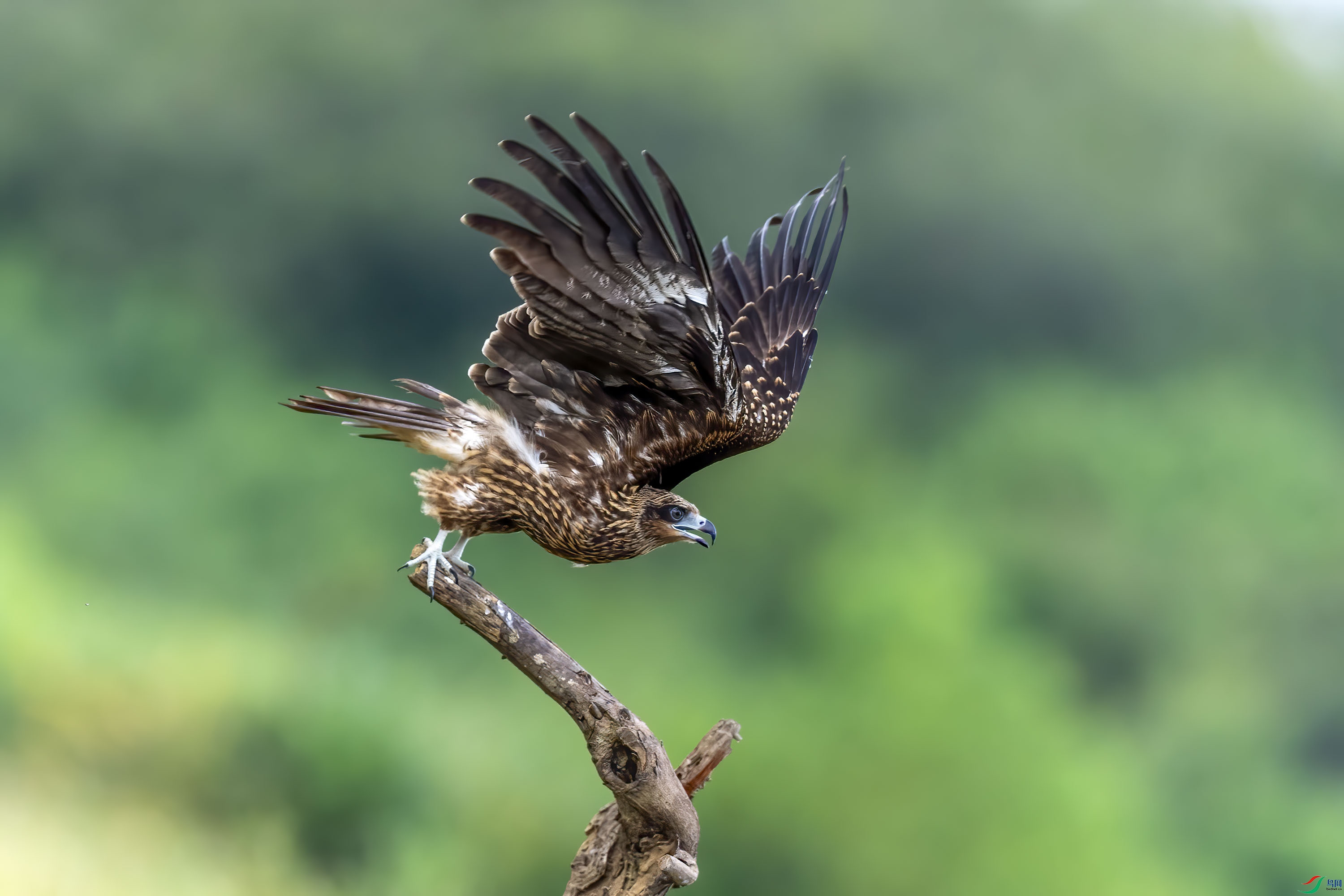 DSC_5132.jpg