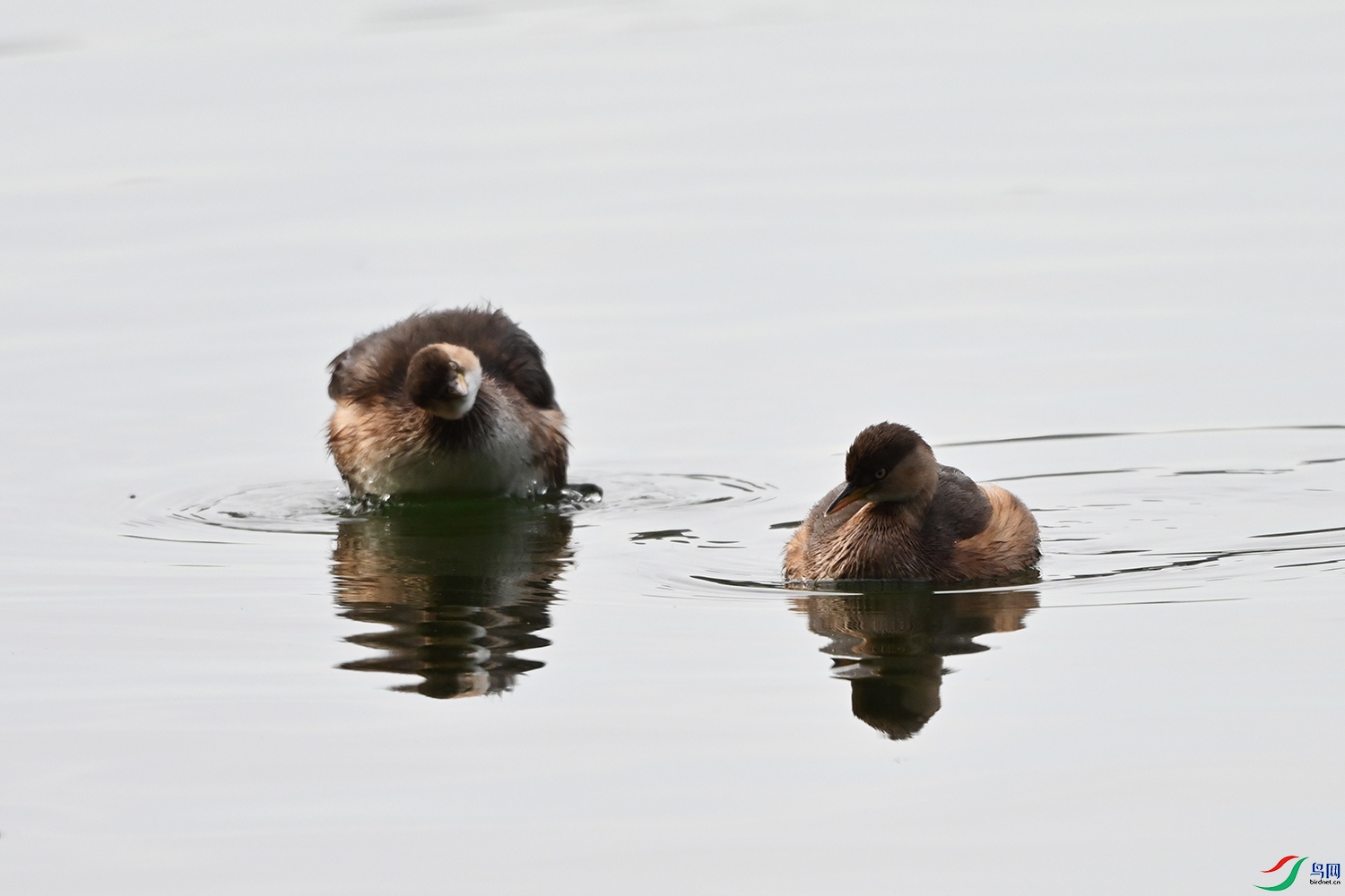 DSC_9150-1.jpg
