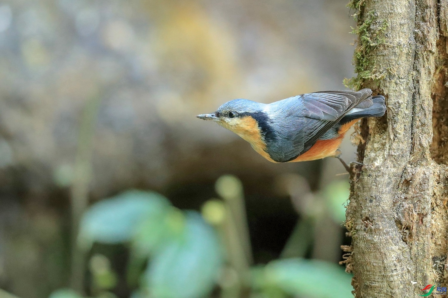 ����׽Ӱ  ��ʦ����������ʡ�º���徰���������� ӯ����0.jpg