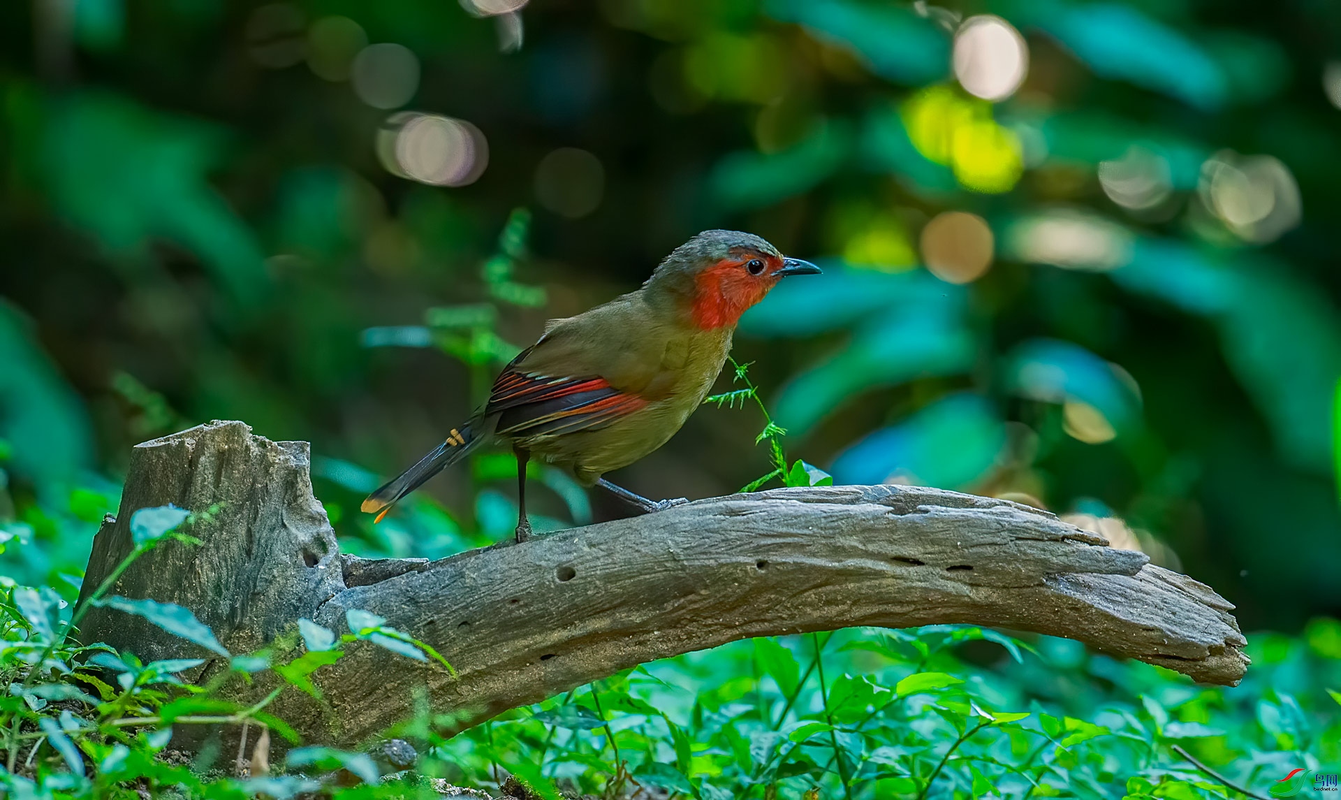 DSC_9362.jpg