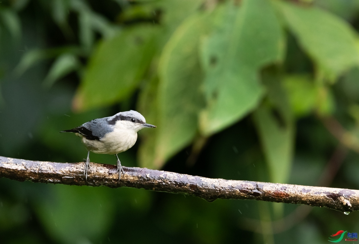 ����  ��ʦ����������ʡ��ɽ��¡����.jpg