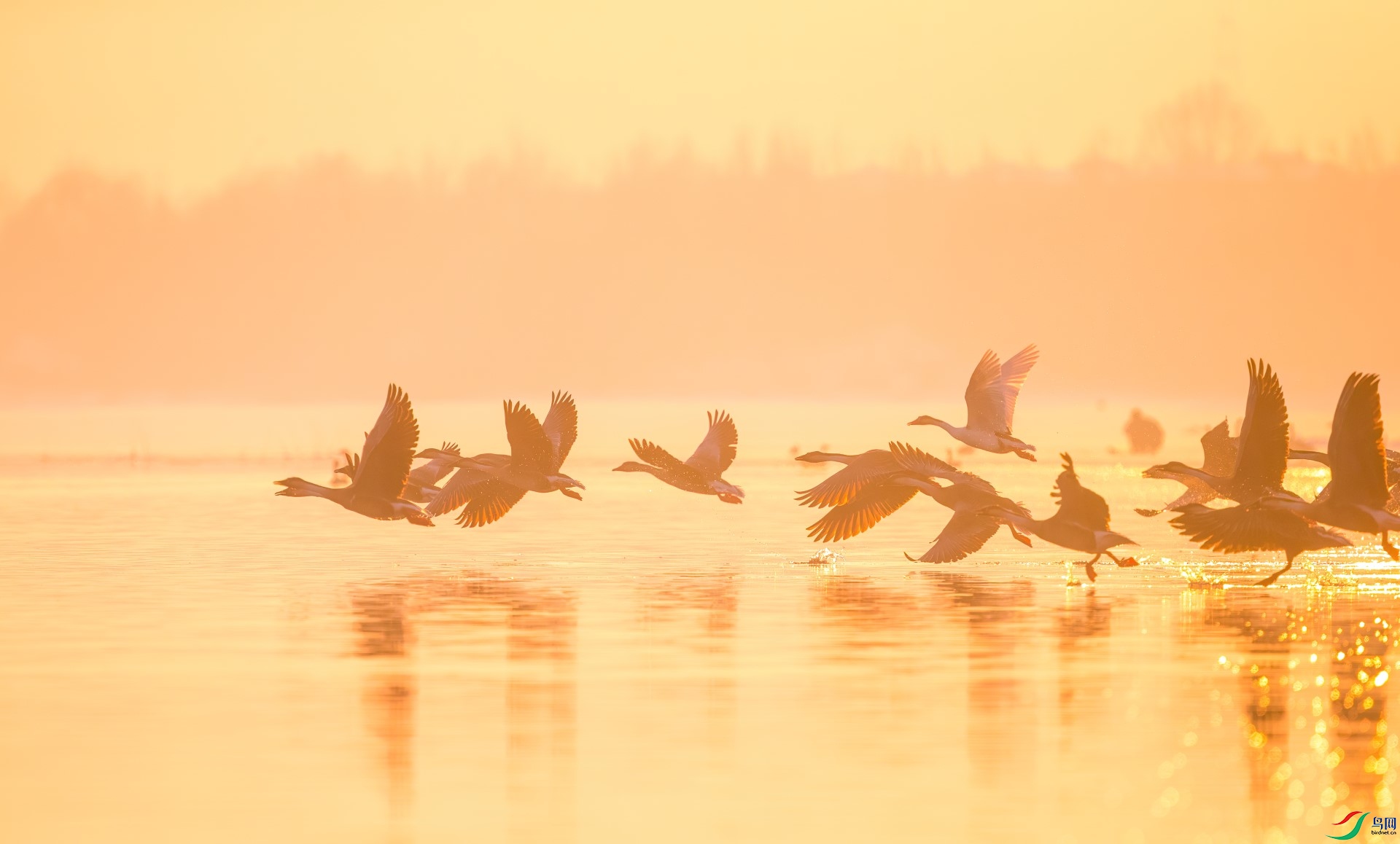 C25I8090-denoise-denoise (1).jpg