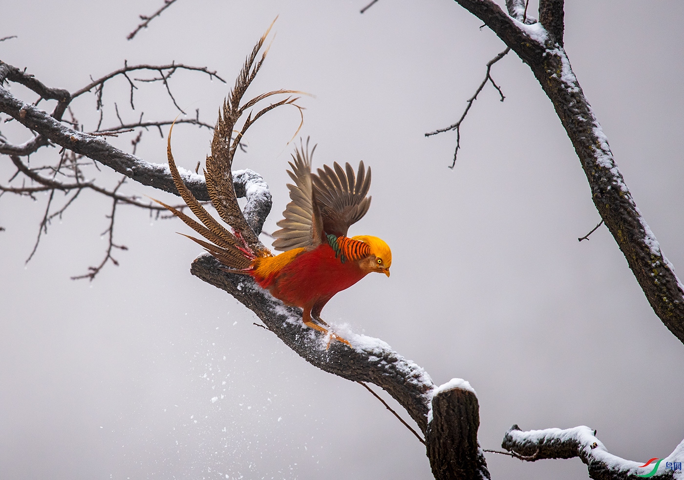 DSC_1783f.jpg