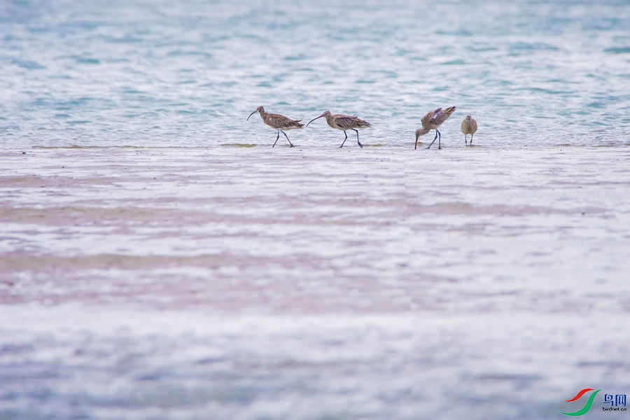 DSC_7303a.jpg