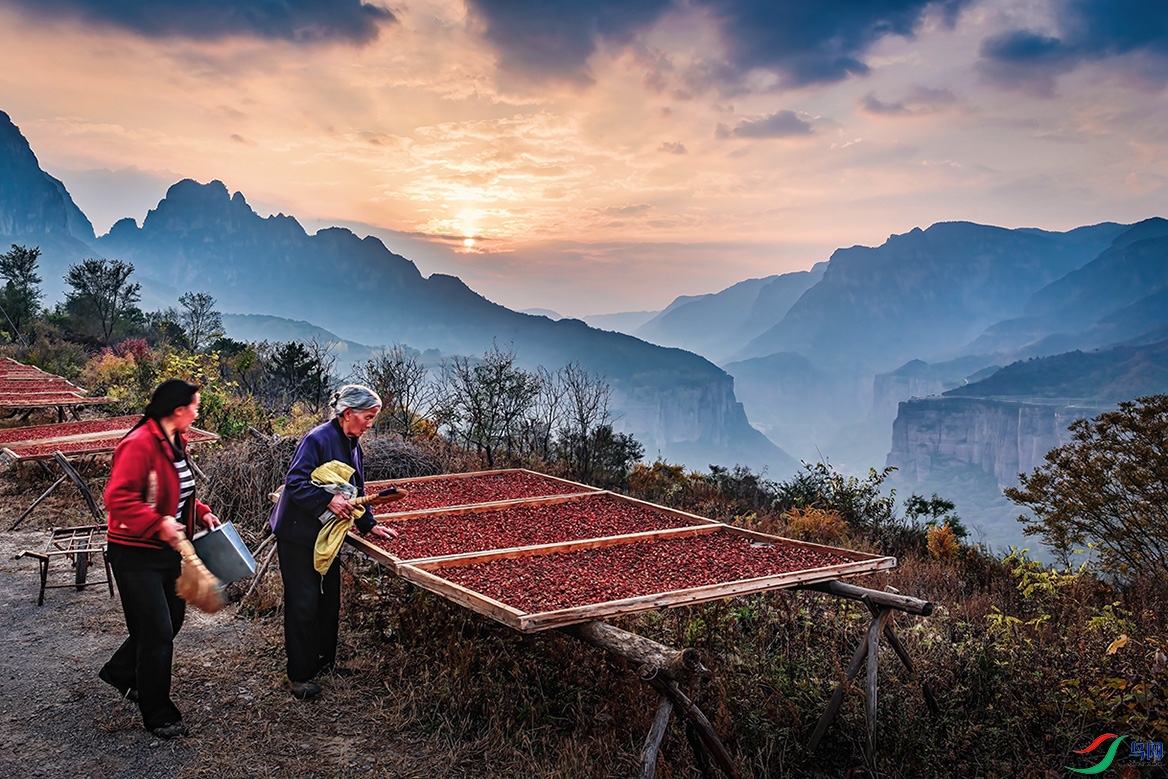 �����ں��ϻ��ر���կ��