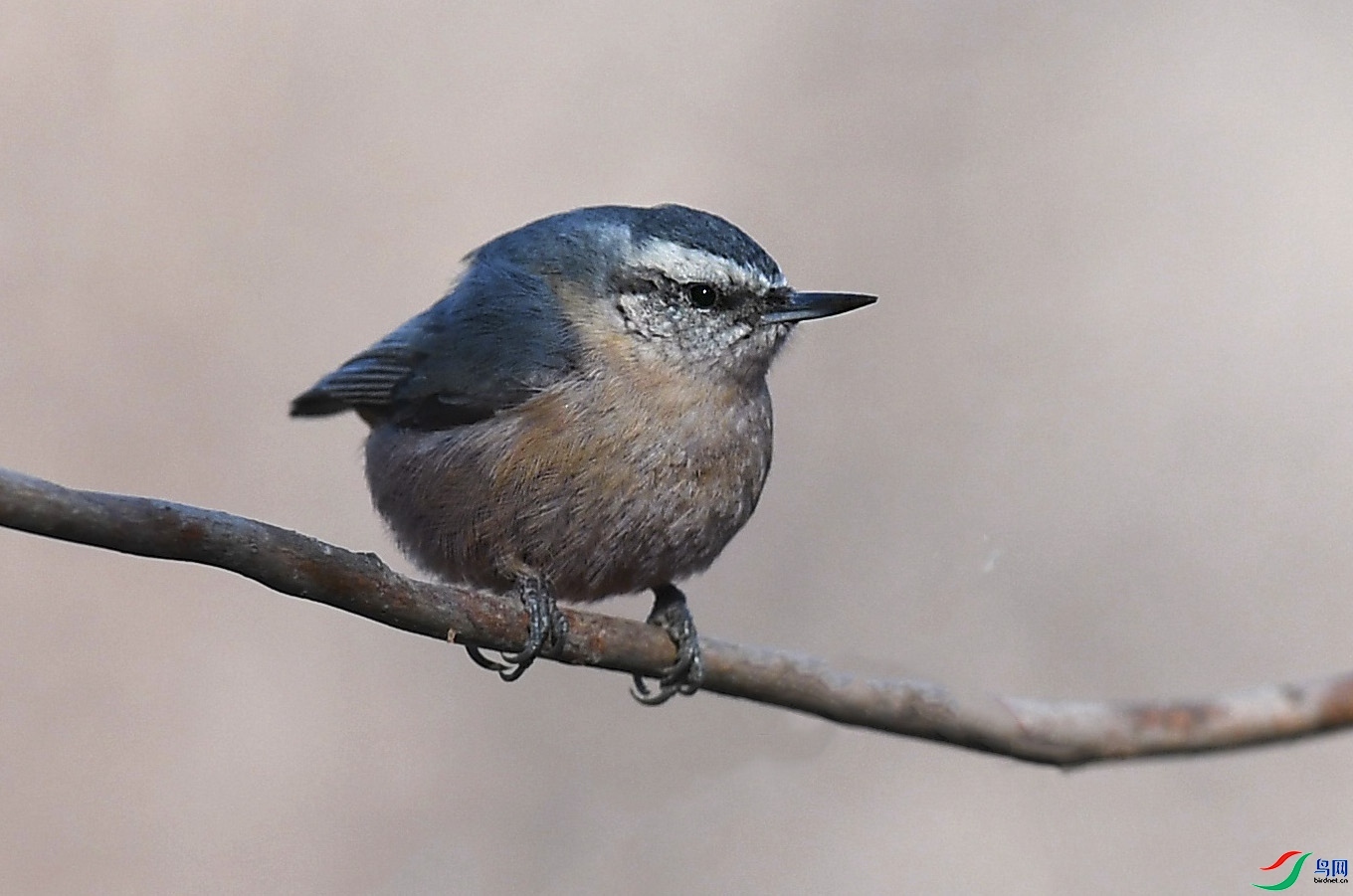 ���ͺ� ��ʦ�����ڼ���ʡ������.jpg