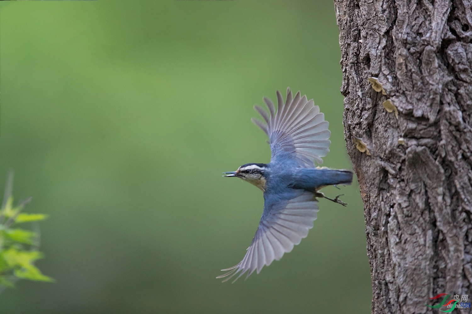 ��ú�Ϲ�  ��ʦ����������ʡ������.jpg