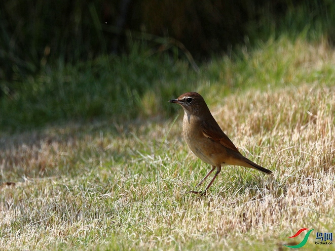 DSC20211029172.jpg