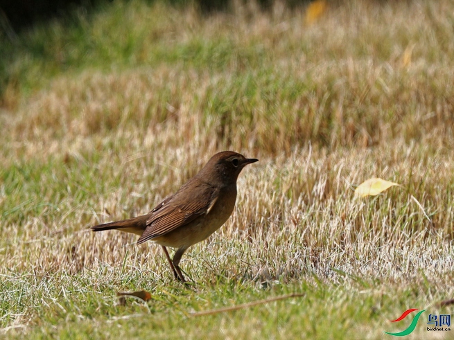 DSC20211029230.jpg