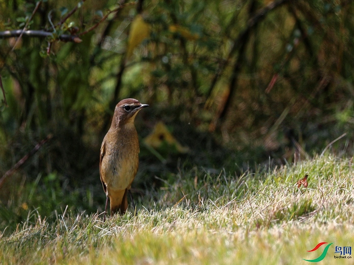 DSC20211029188.jpg