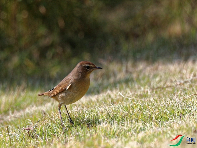 DSC20211029211.jpg