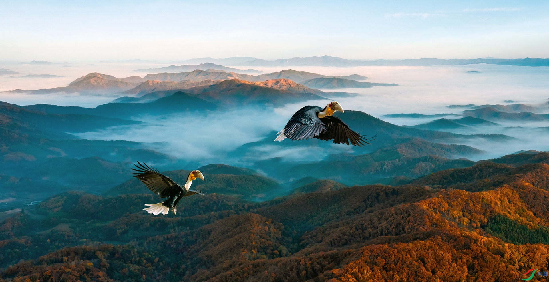 DJI_0366==1hcw.jpg