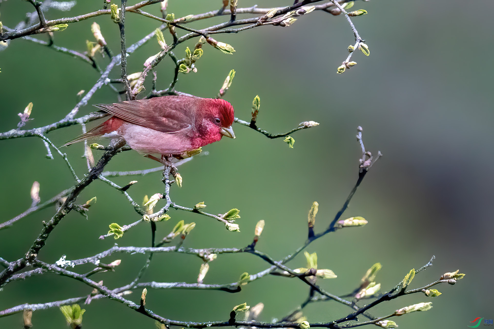 DSC_4114-1.jpg