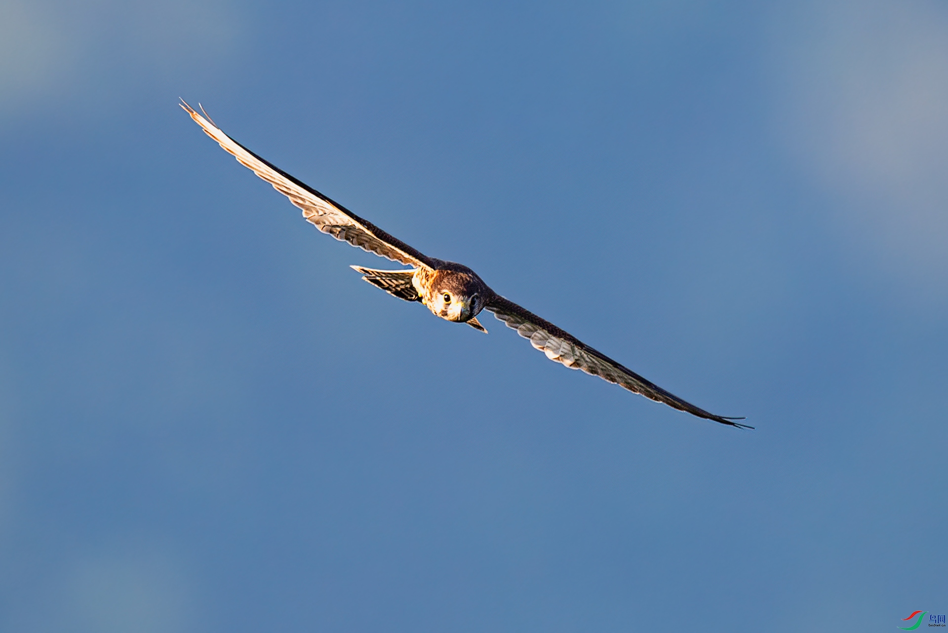 DSC_5983.jpg