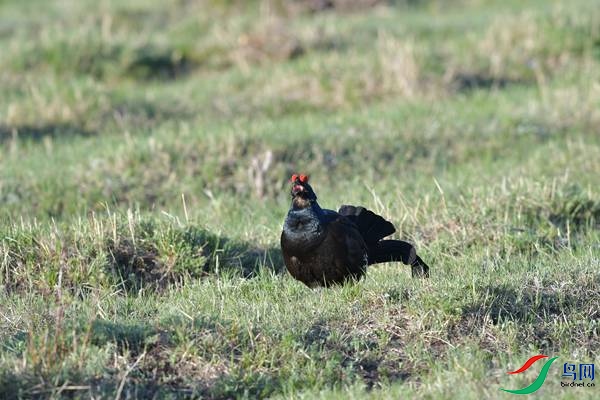 DSC_2383.jpg