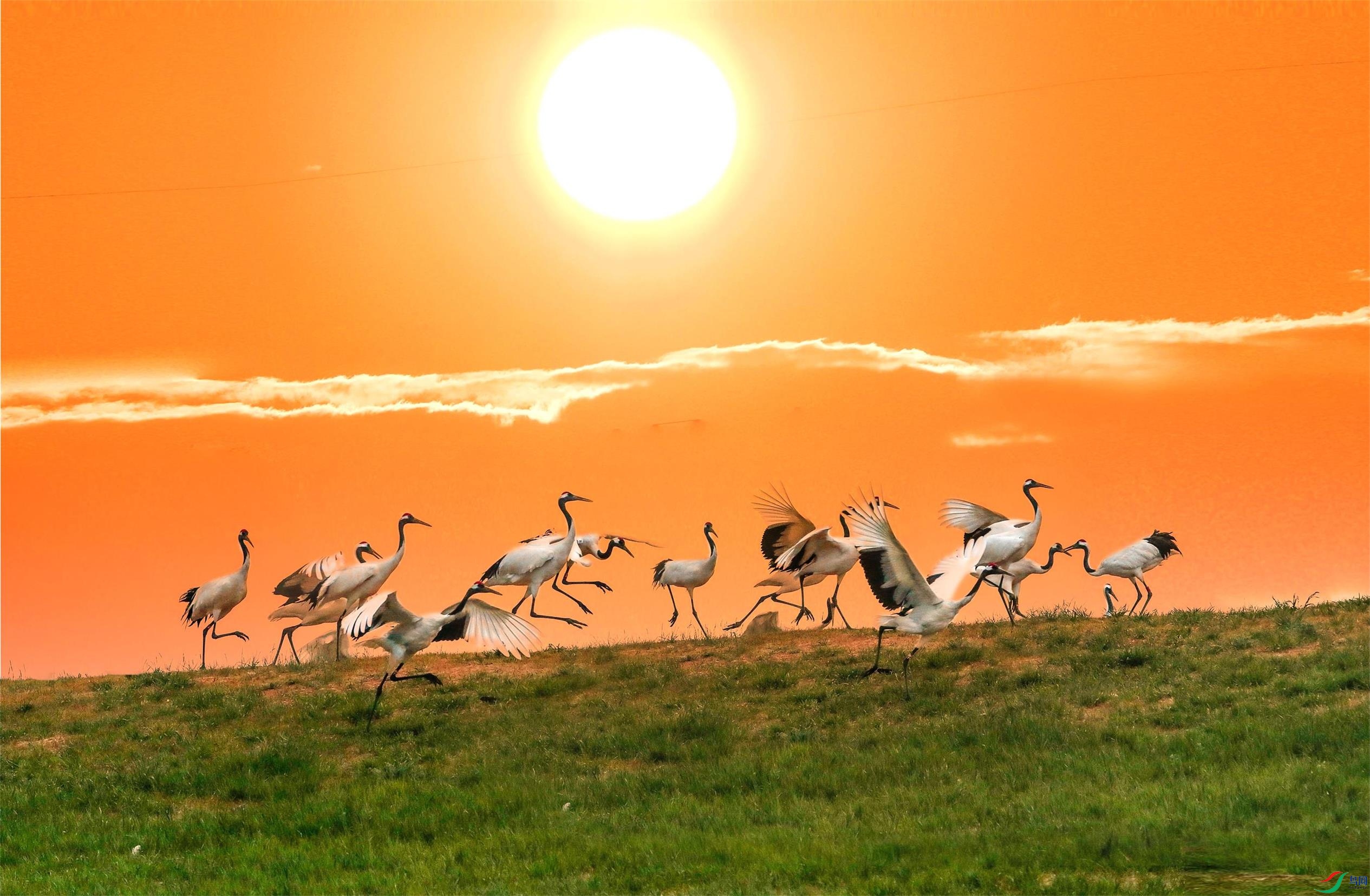 _70I7423-           չ�����=.jpg