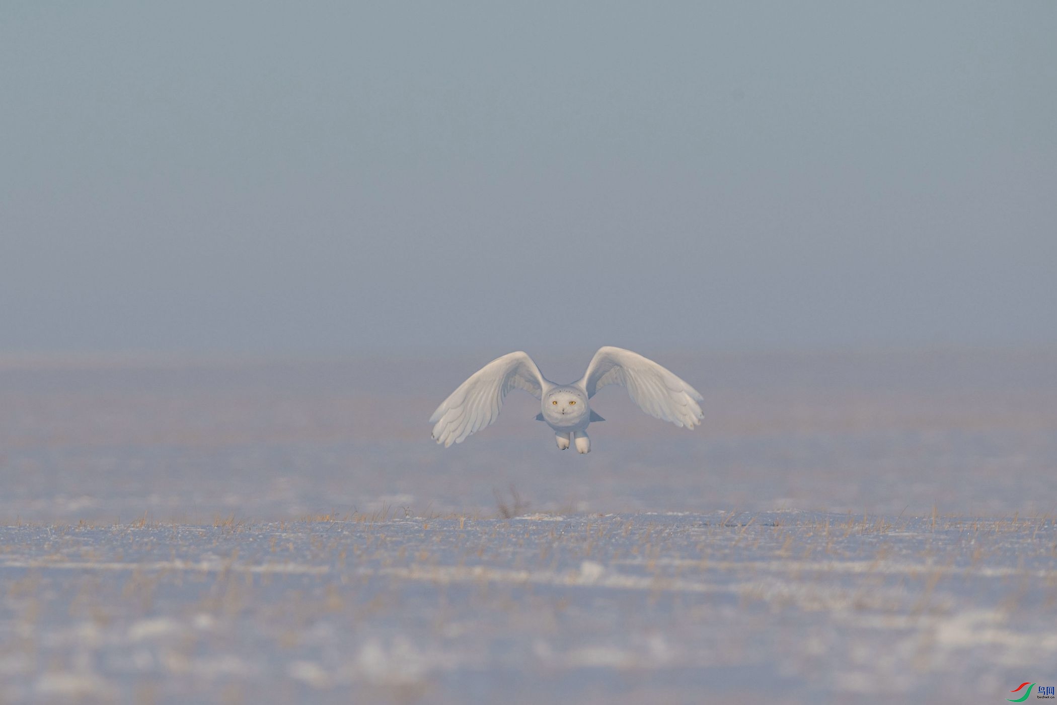 _DSC6320_����_����.jpg