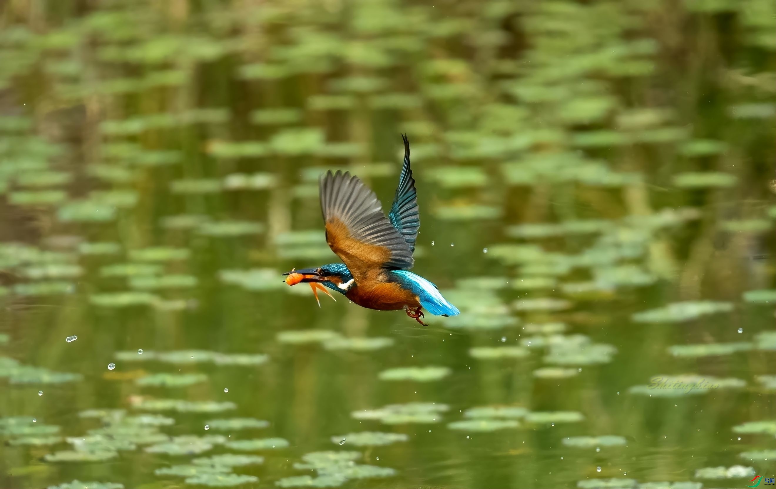 ���͵Ĵ���2