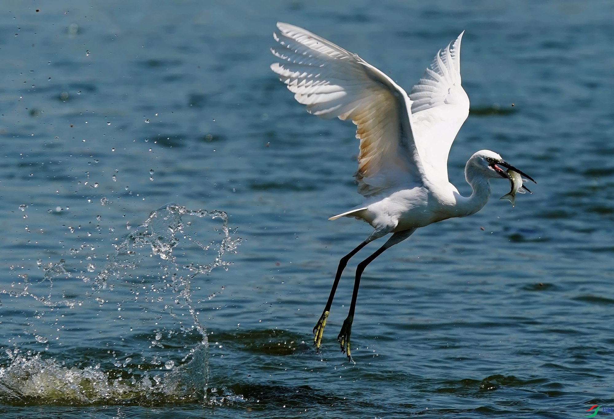 2637 (2)_����.jpg