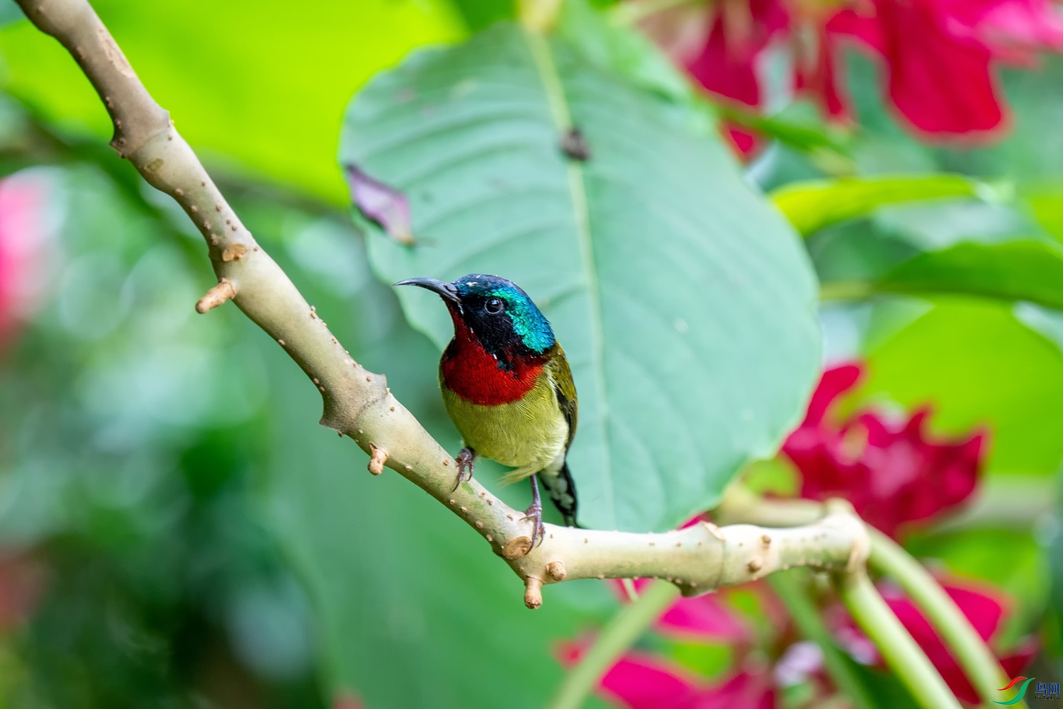 DZ_00551.jpg